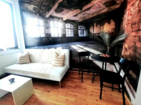 One bedroom by the Park Old Town Belle Vue Timisoara